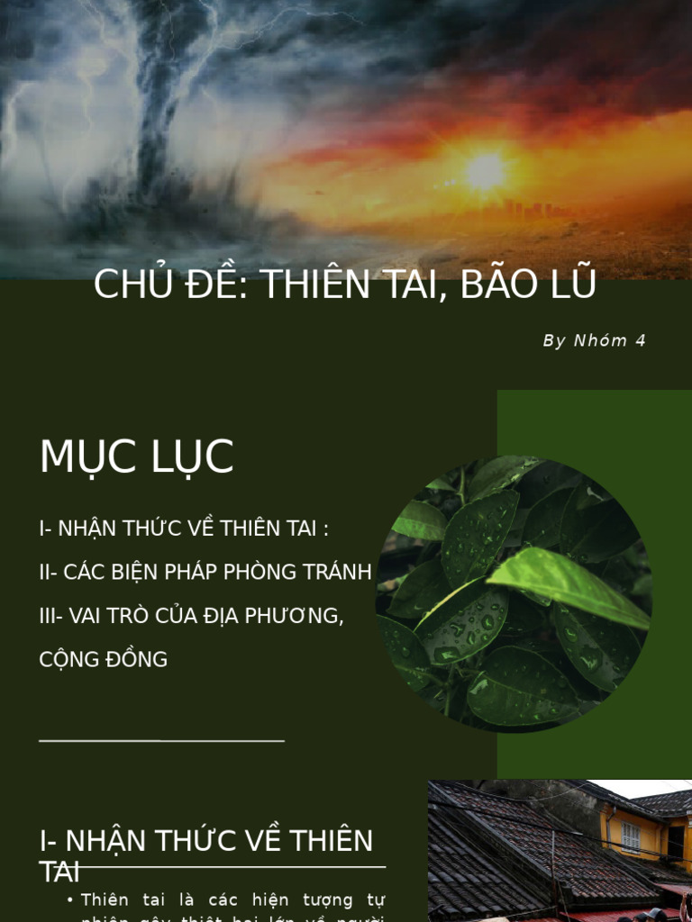 8ap Nhóm 4 Thuyết Trình Hdtn | PDF
