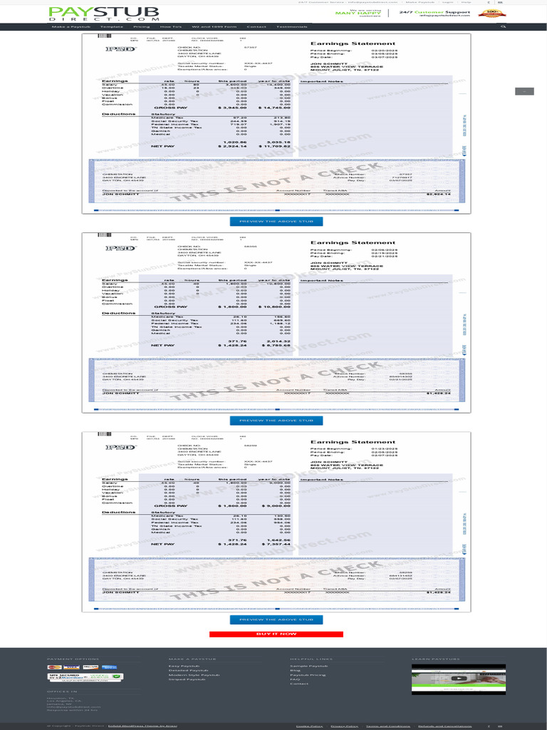 Striped Pay Stub Template Generator - Check Stub Maker Online | PDF ...