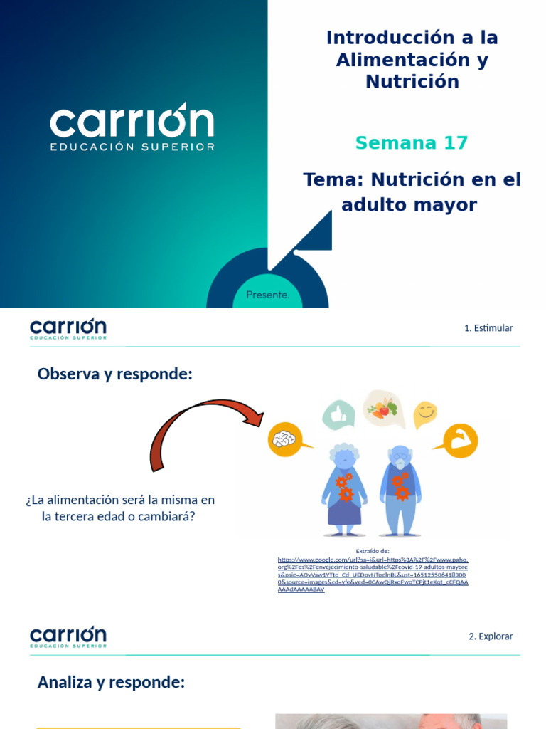 Nutrición en el Adulto Mayor: Guía Esencial | PDF | Nutrición | Dieta y ...