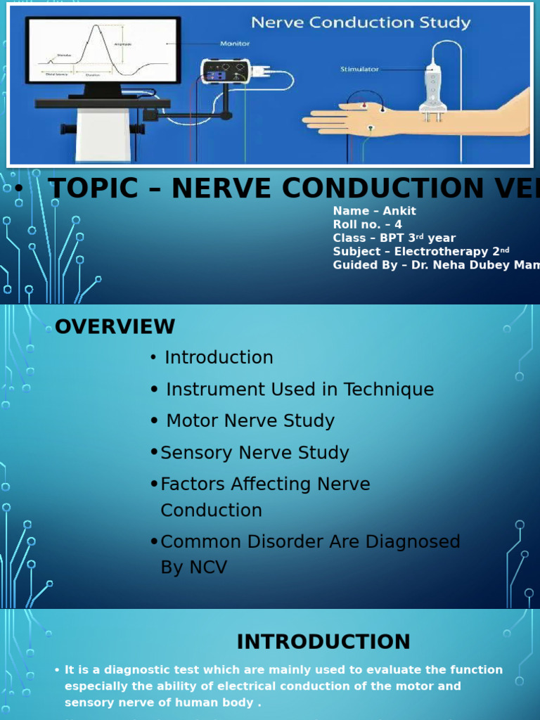 Nerve Conduction Velocity Study Overview | PDF | Nerve | Peripheral ...