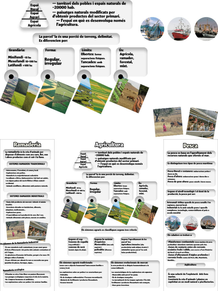 Untitled (Copy) | PDF