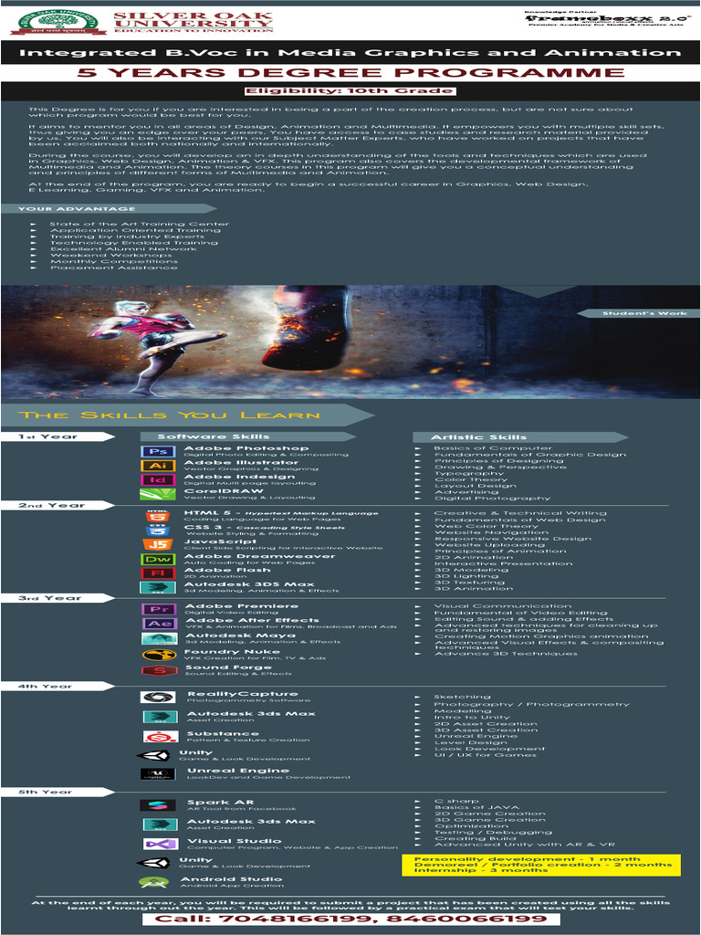 Media Graphics & Animation Program | PDF