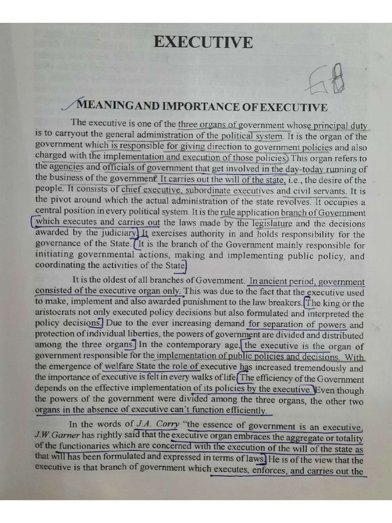 EXECUTIVE MEANING IN BUSINESS visual data 3