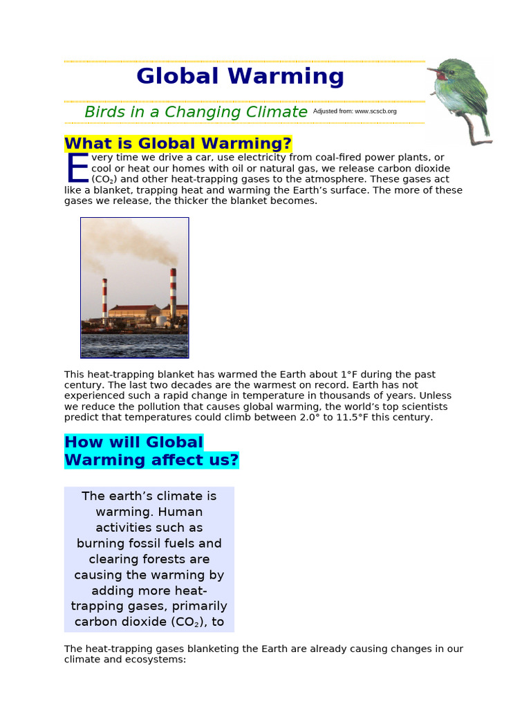Bird_Vo+´l | PDF | Climate Change | Coast