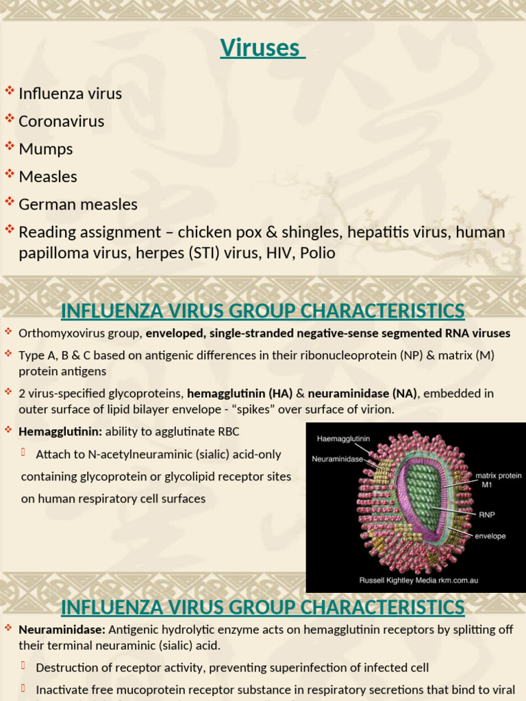 10 Viruses of Medical Importance | PDF | Influenza | Virus
