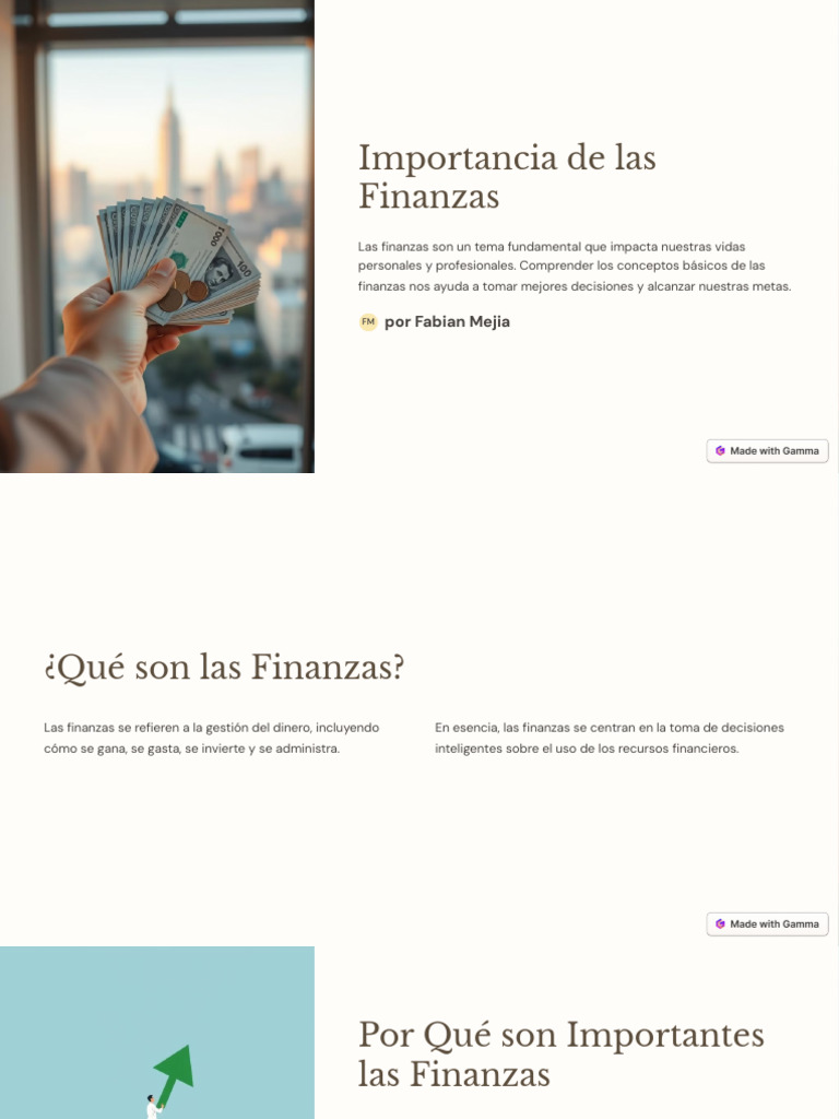 Importancia de Las Finanzas | PDF | Finanzas personales | Economias