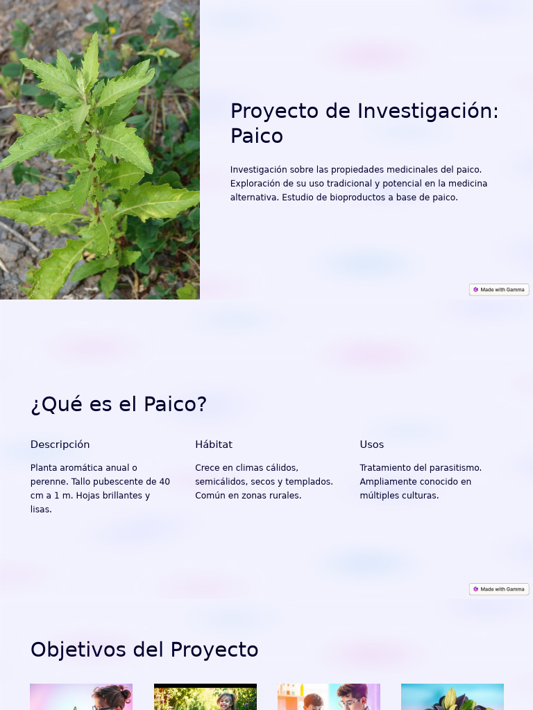 Propiedades Medicinales del Paico | PDF