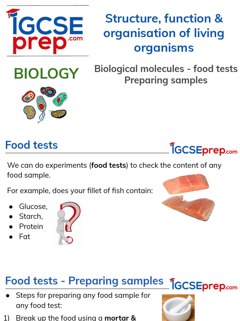 Study+guide+-+Chapter+2d+Biological+molecules+-+Food+tests+V3.0 | PDF ...