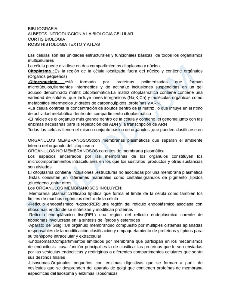 Estructura y Función de la Célula | PDF | Nucleo celular | Mitosis