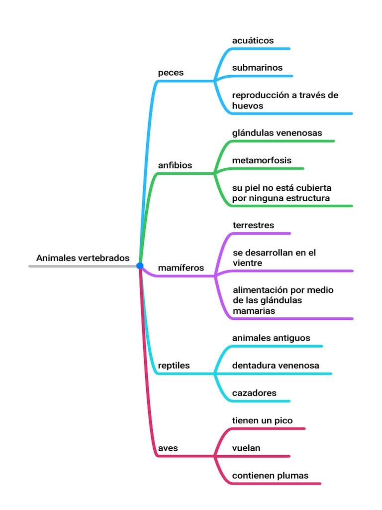 Animales Vertebrados. MindLine | PDF