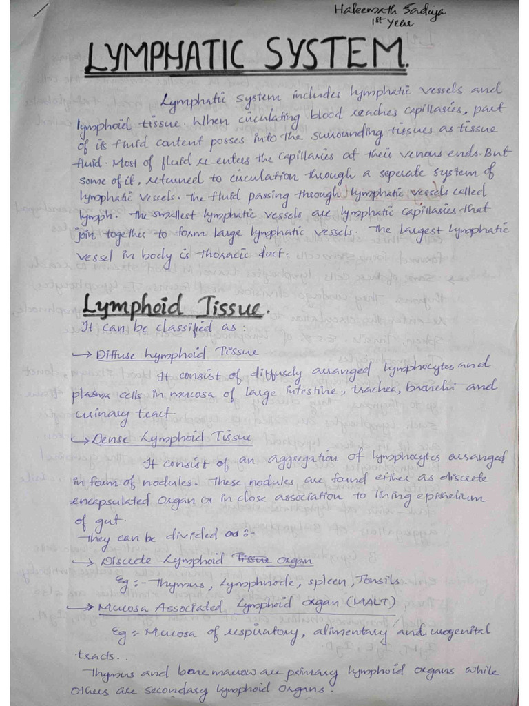 Lymphatic System | PDF