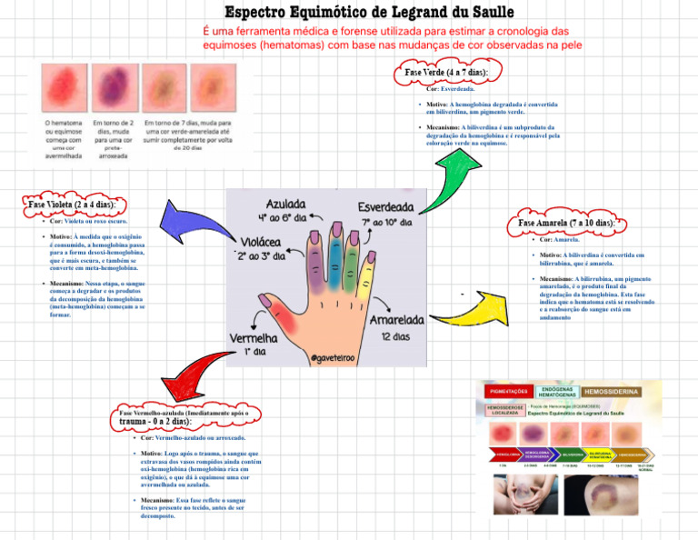 Espectro Equimótico de Legrand du Saulle | PDF | Cor | Hemoglobina