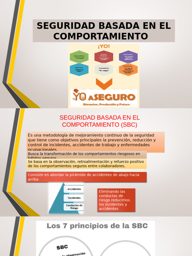 Seguridad Basada en El Comportamiento 1 | PDF | Comportamiento | Valores
