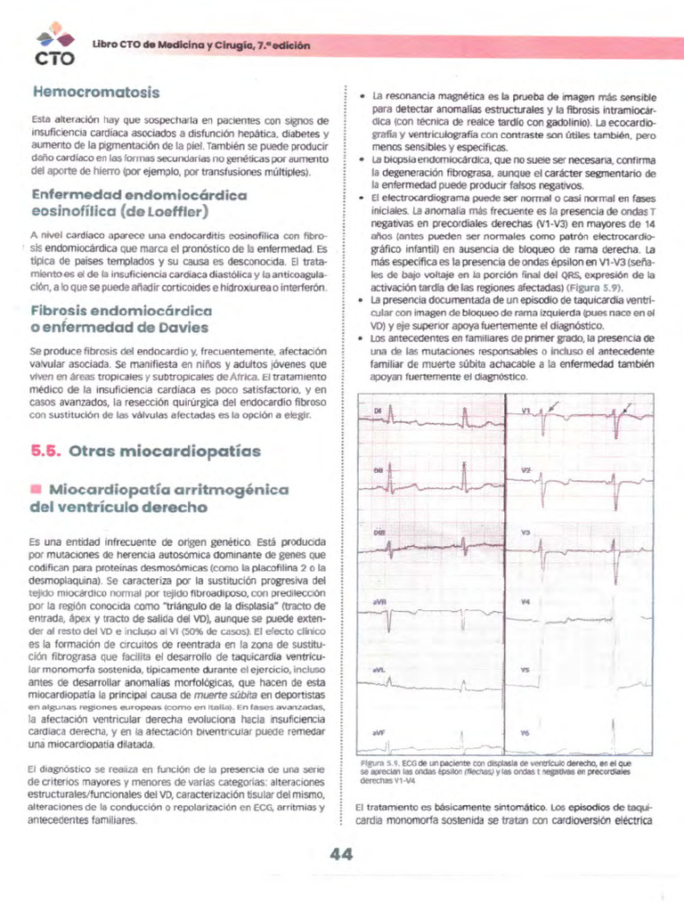 333 | PDF