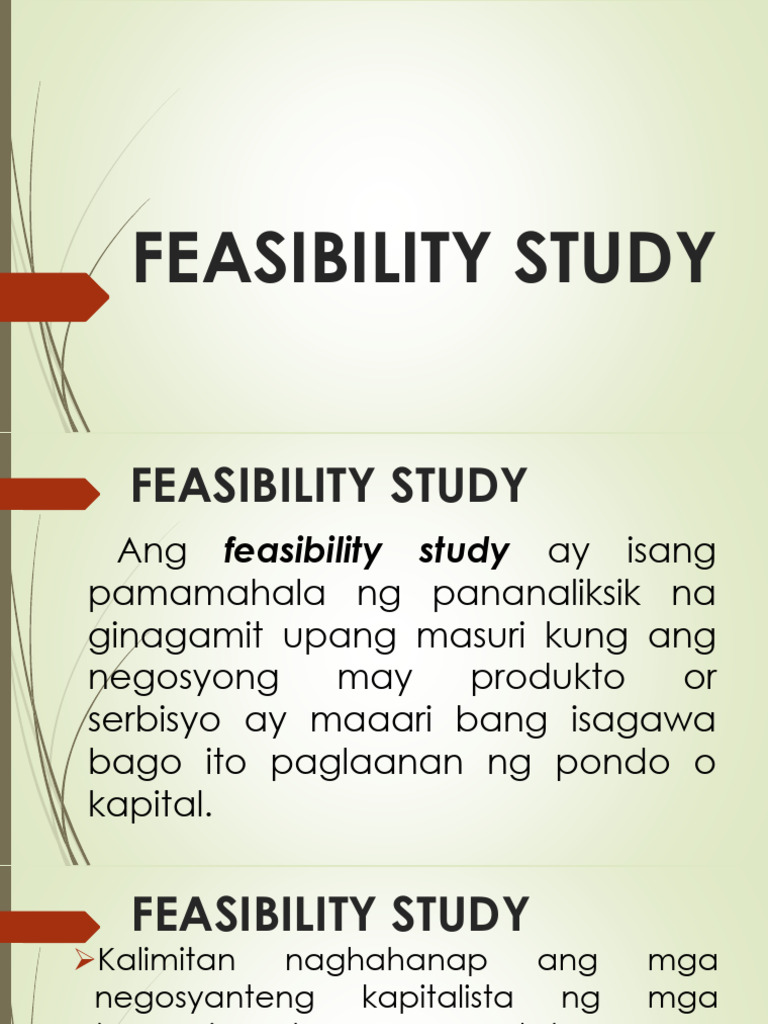 Feasibility Study | PDF