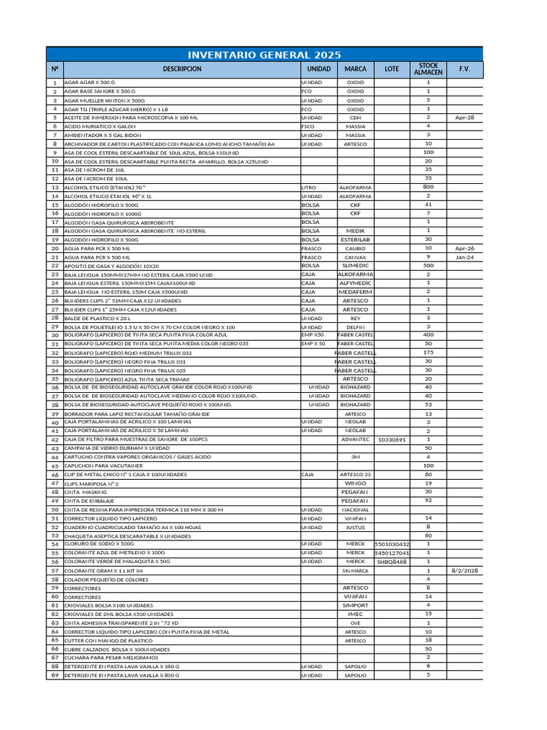 Inventario General 2025 | PDF