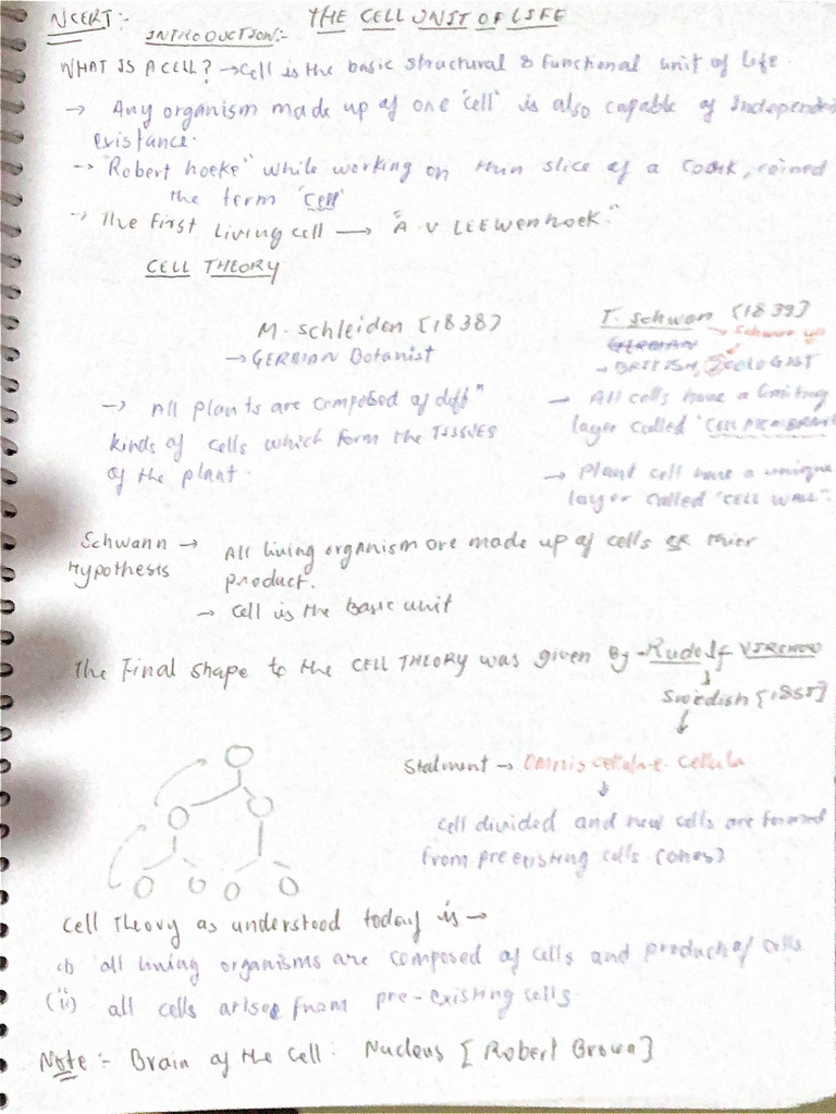 Scanned Document 26-03-25 at 1.37.28 AM | PDF