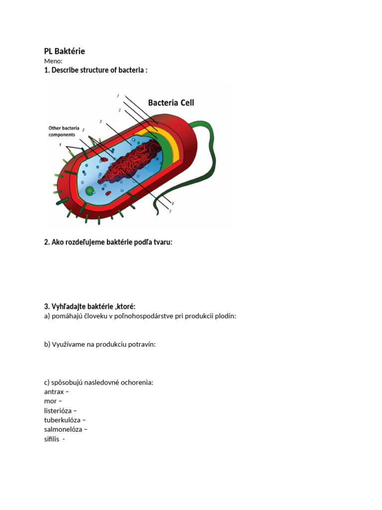 PL 6 Bakt rie PDF