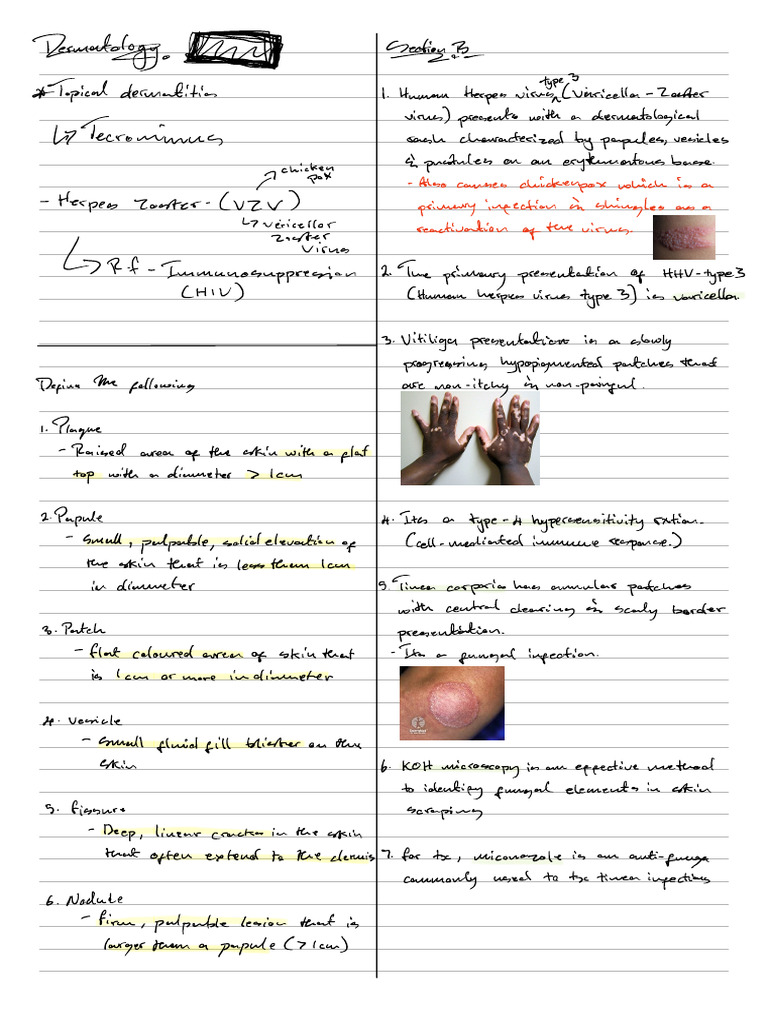 Dermatology | PDF