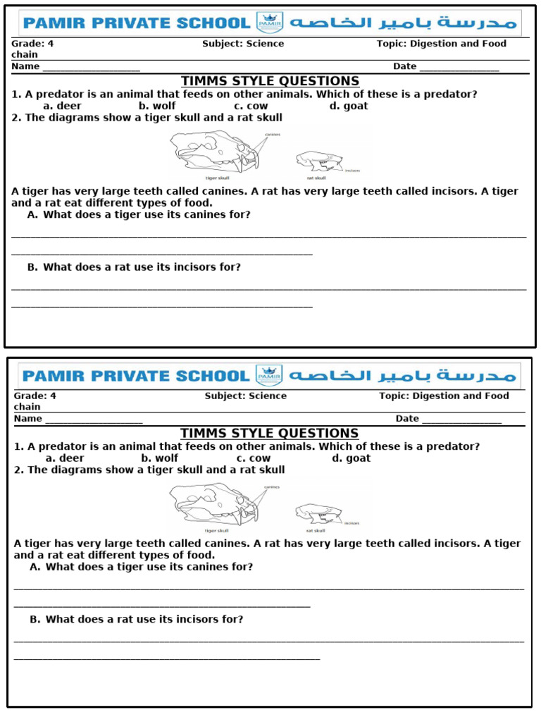 Grade 4 Digestion and Food Chain Quiz | PDF