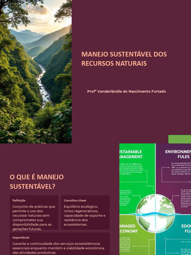 Manejo Sustentavel Dos Recursos Naturais | PDF | Sustentabilidade ...