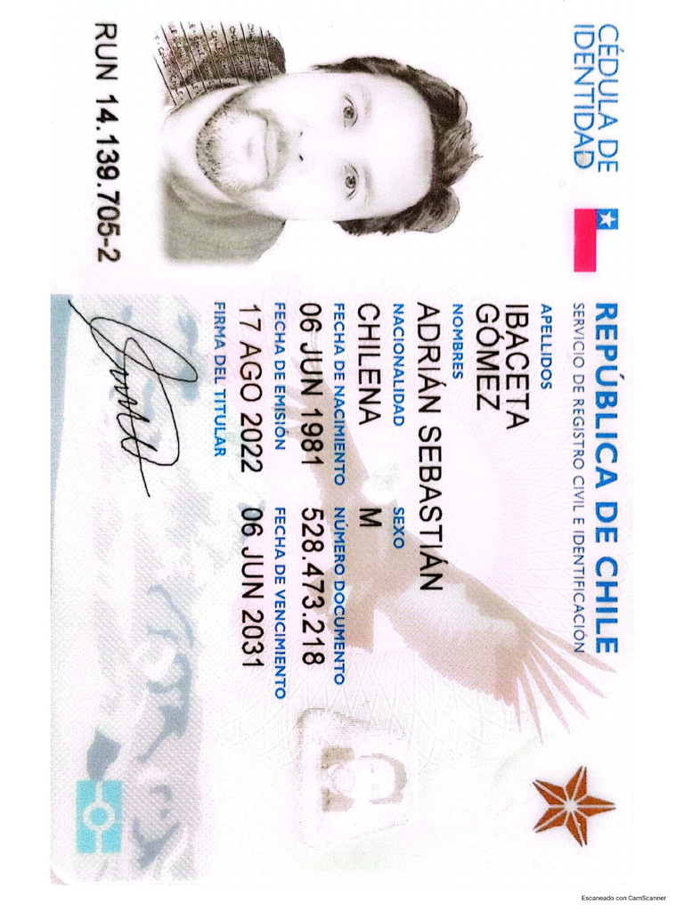 Carnet de Identidad Adrián Ibaceta PDF | PDF