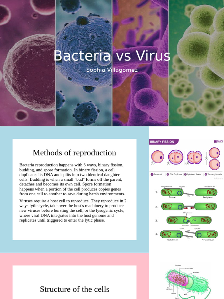 Bacteria vs. Viruses: Key Differences | PDF | Cell (Biology) | Virus