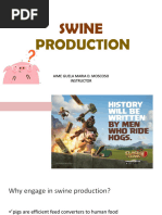 Classifying Swine Breeds for Production | PDF | Pig | Livestock