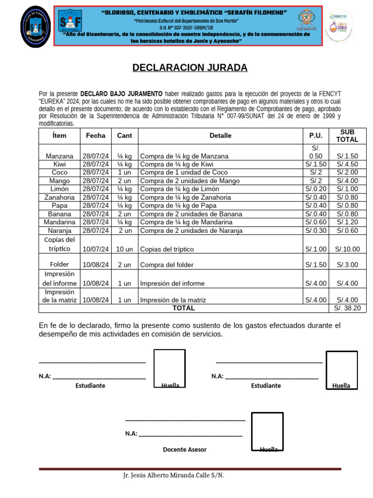 Declaración Jurada de Gastos 2024 | PDF