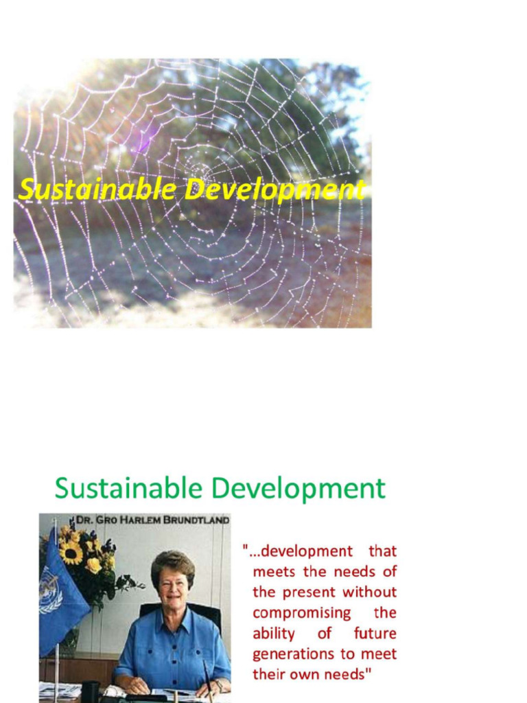 Strategies for Environmental Sustainability | PDF | Gross Domestic ...