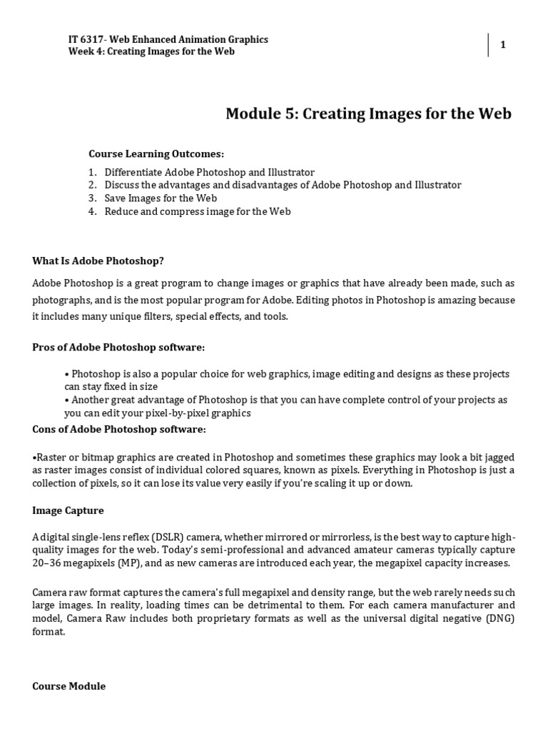 W4 Lesson 5 Creating Images For The Web | PDF | Adobe Photoshop | Image ...