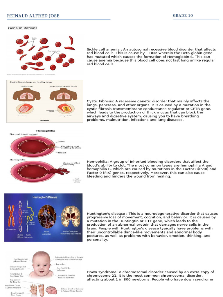 Understanding Genetic Mutations and Disorders | PDF | Genetic Disorder ...