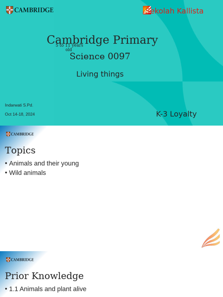 Cambridge Primary | PDF