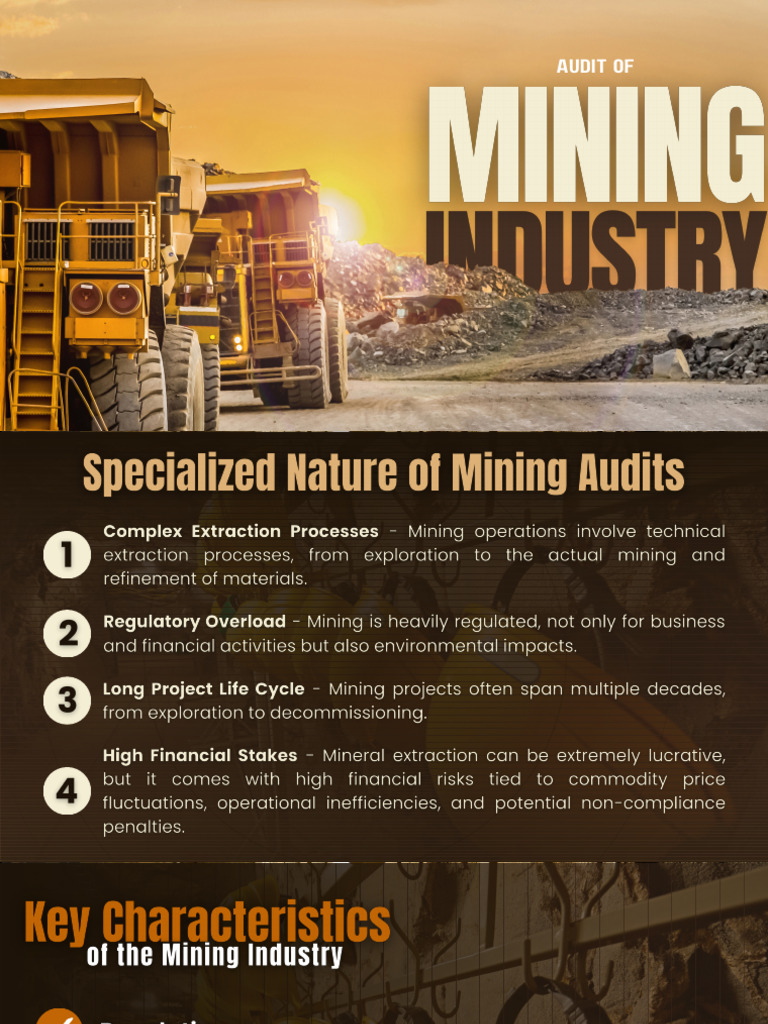 AUDIT OF MINING INDUSTRY | PDF | Audit | Internal Control