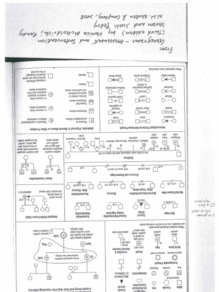 Genogram | PDF