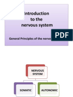 Introduction to the Nervous System: Anatomy and Functions