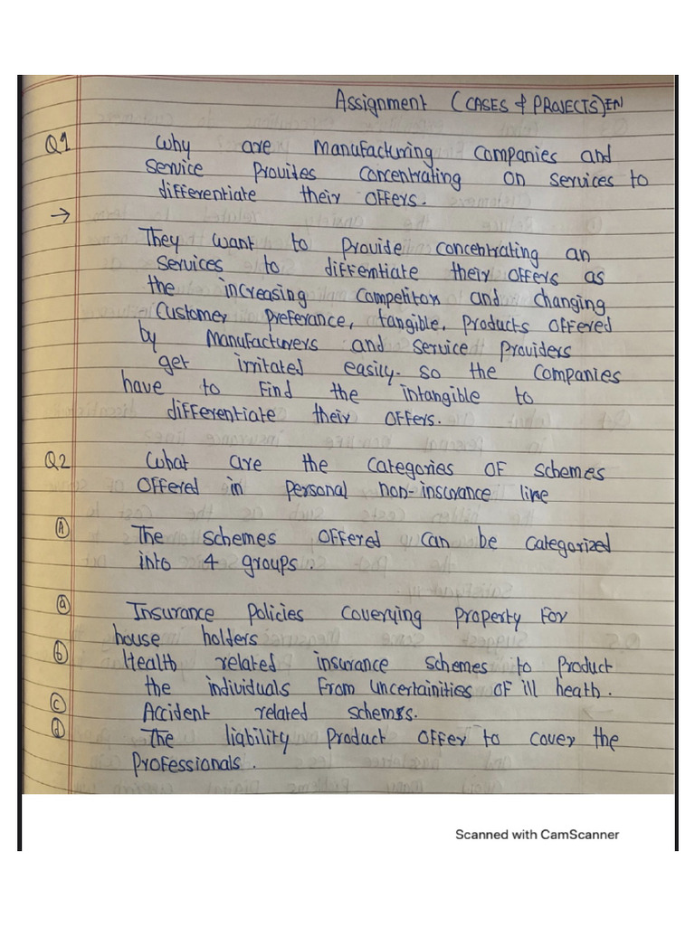 Case Project E-Com | PDF