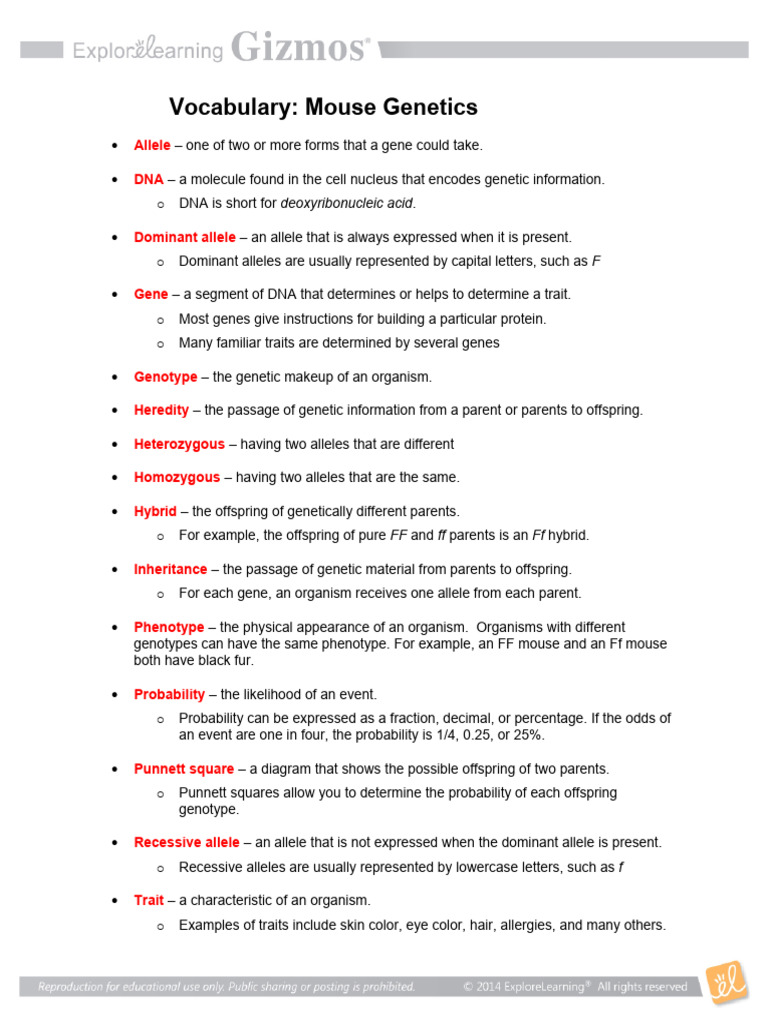 Mouse Genetics Vocabulary Guide | PDF | Dominance (Genetics) | Genotype
