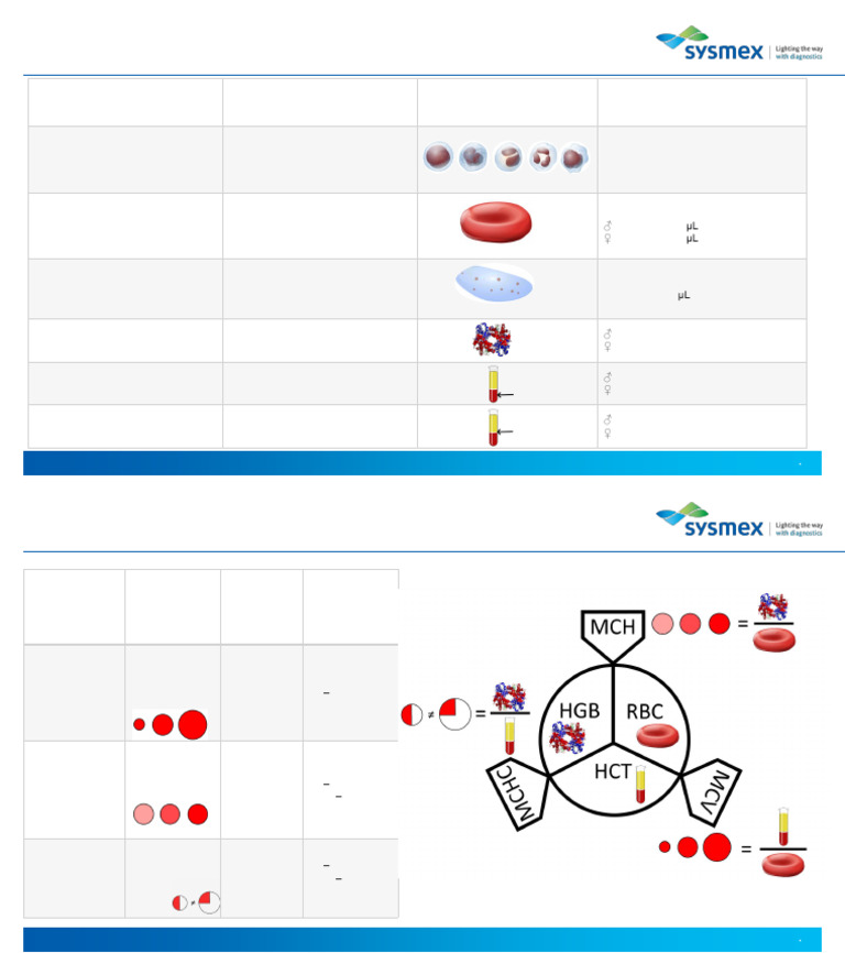 Haema Parameters Handout 2019 34064315 | PDF | Blood Cell | Red Blood Cell
