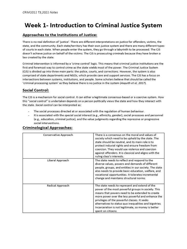 Overview of the Criminal Justice System | PDF | Police | Crimes