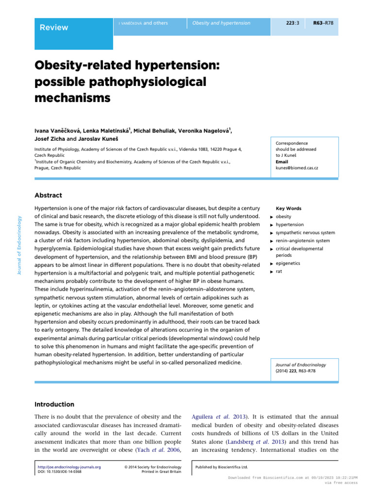 Obesity-Related Hypertension | PDF | Leptin | Adipose Tissue
