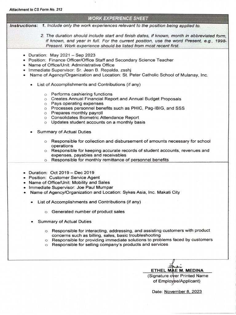 Work Experience Sheet | PDF
