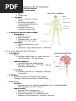 IGCSE Biology: Coordination & Response Notes | PDF