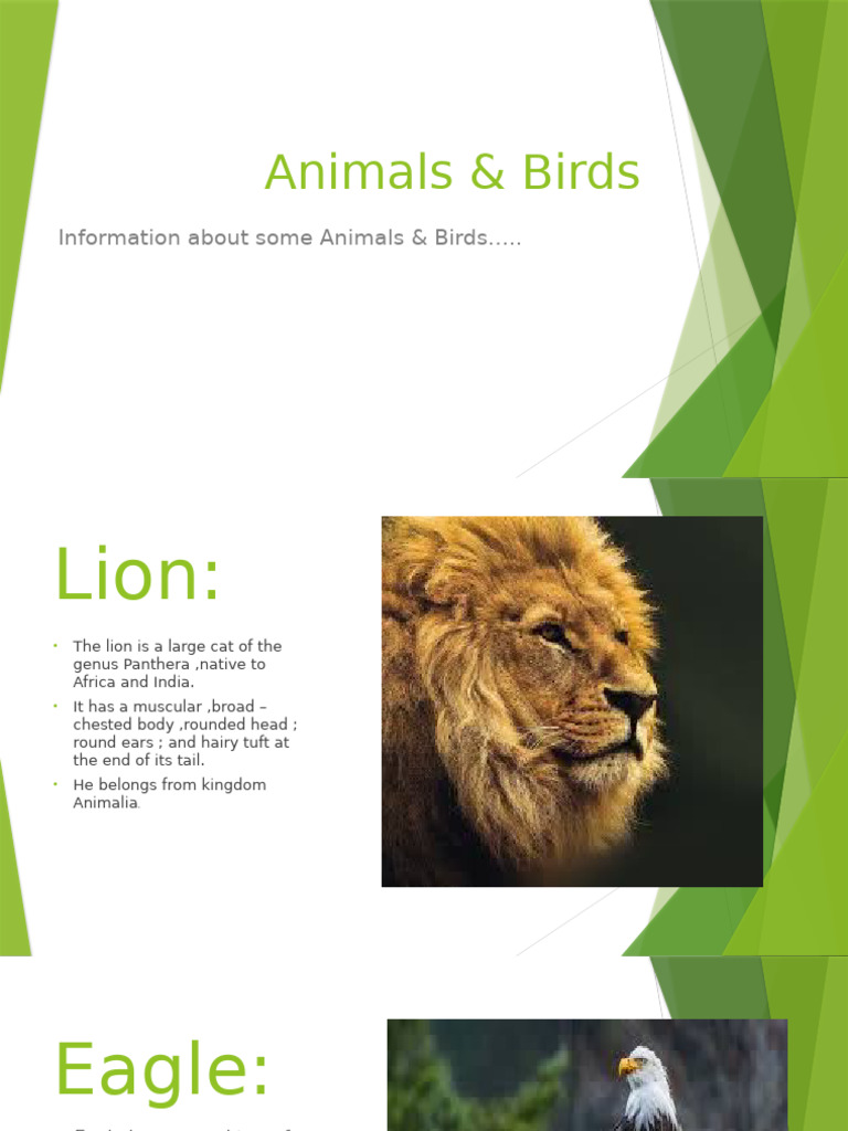 Overview of Notable Animals & Birds | PDF