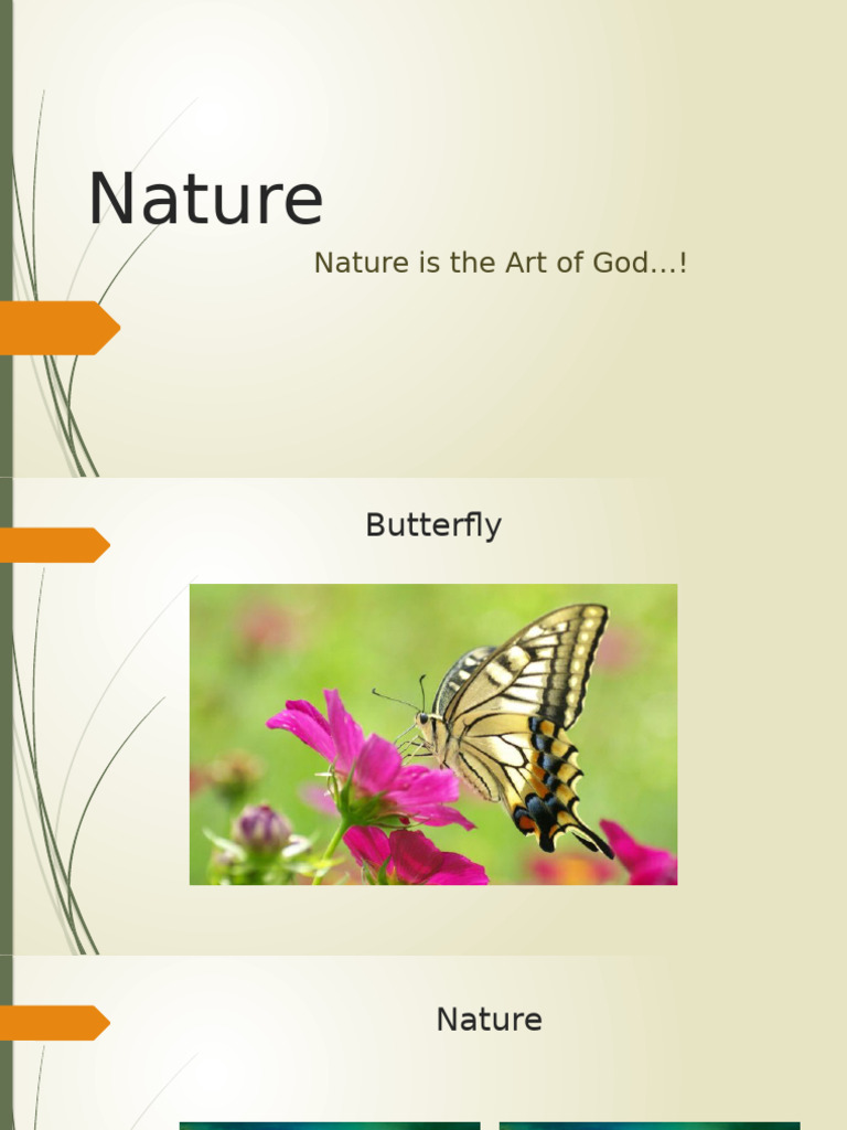 Nature | PDF