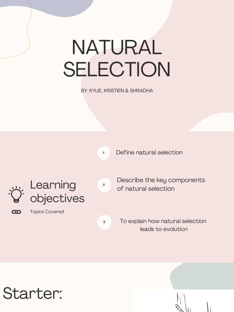 Understanding Natural Selection and Evolution | PDF | Natural Selection ...