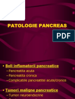 Curs 5 Pancreas