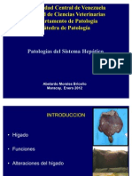 Patologia Del Higado 2012