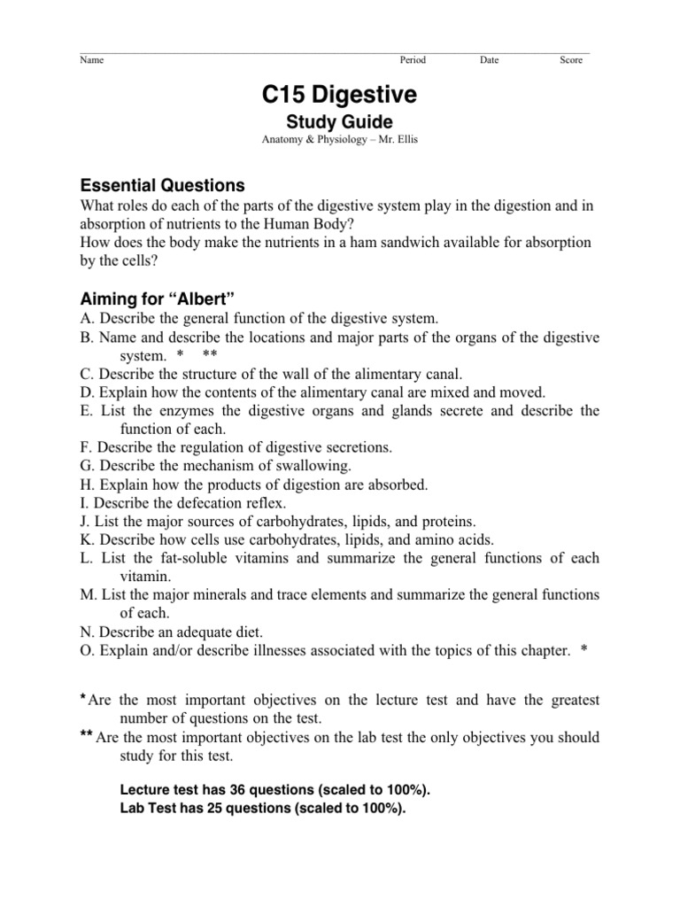 Digestive System Study Guide | PDF | Stomach | Digestive System
