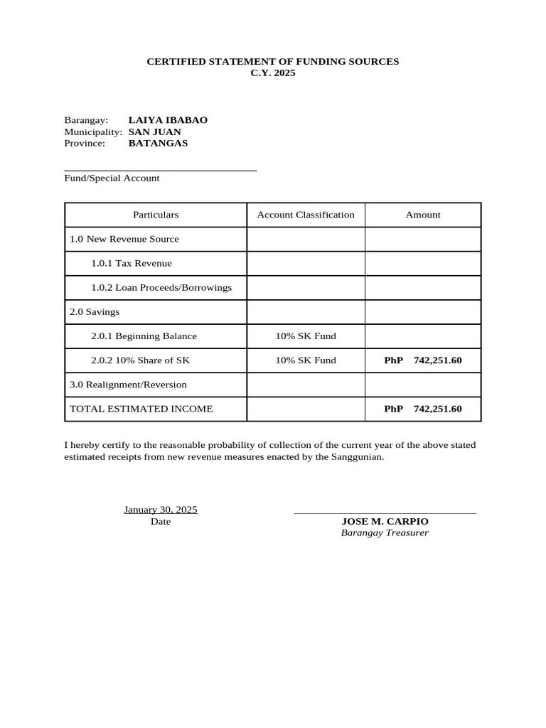 Funding Sources Statement 2025 | PDF